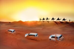 Ride a camel in Dubai Desert with bus rental