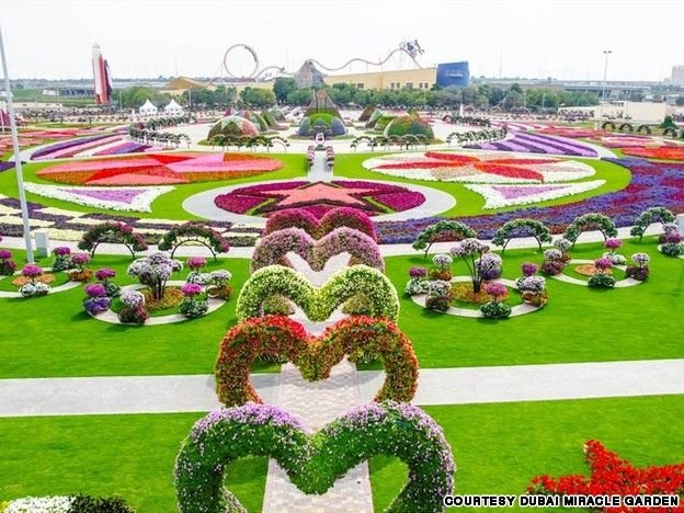 places to visit in Miracle Garden
