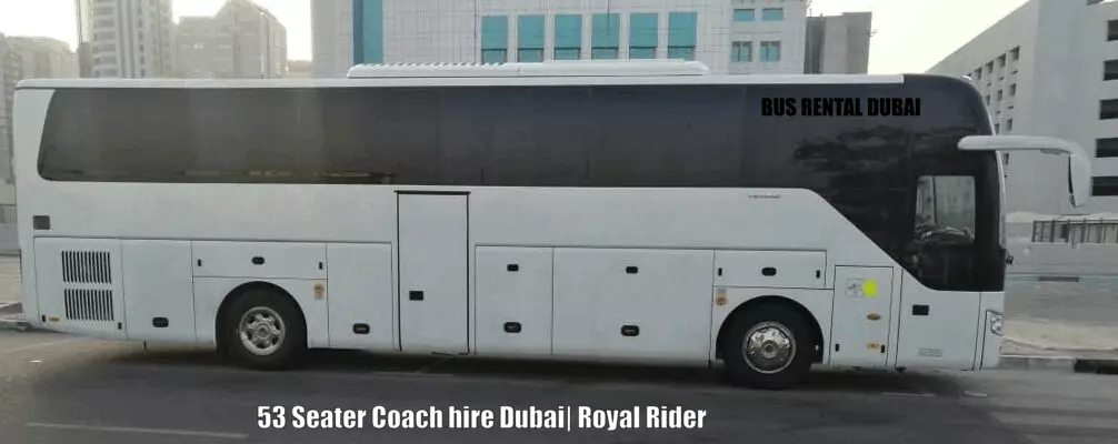 Coach Belts UAE  Dubai, Abu Dhabi