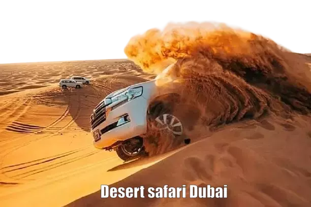 desert-safari-dubai