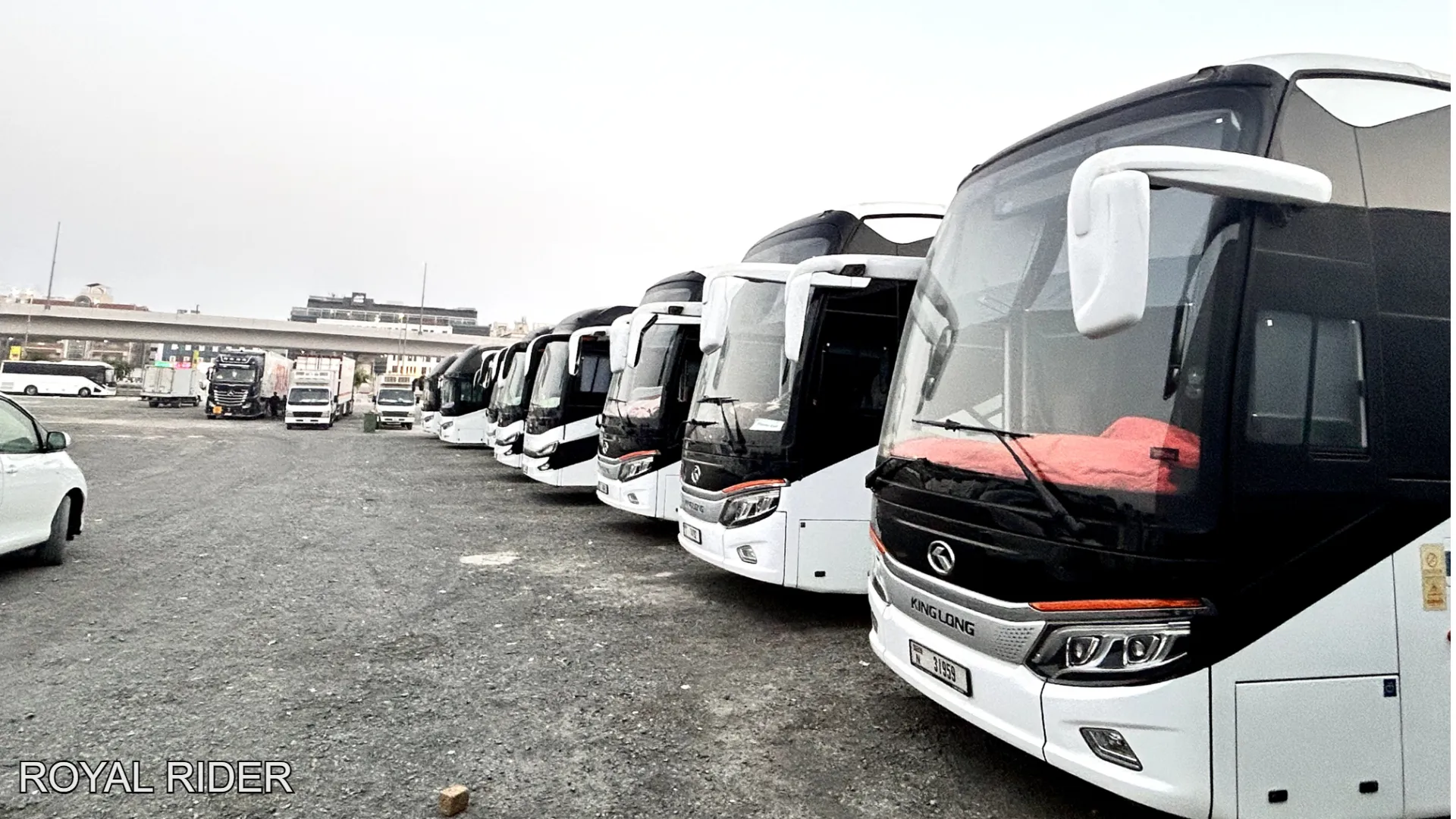 50 passenger bus rental for Royal Rider passenger transport