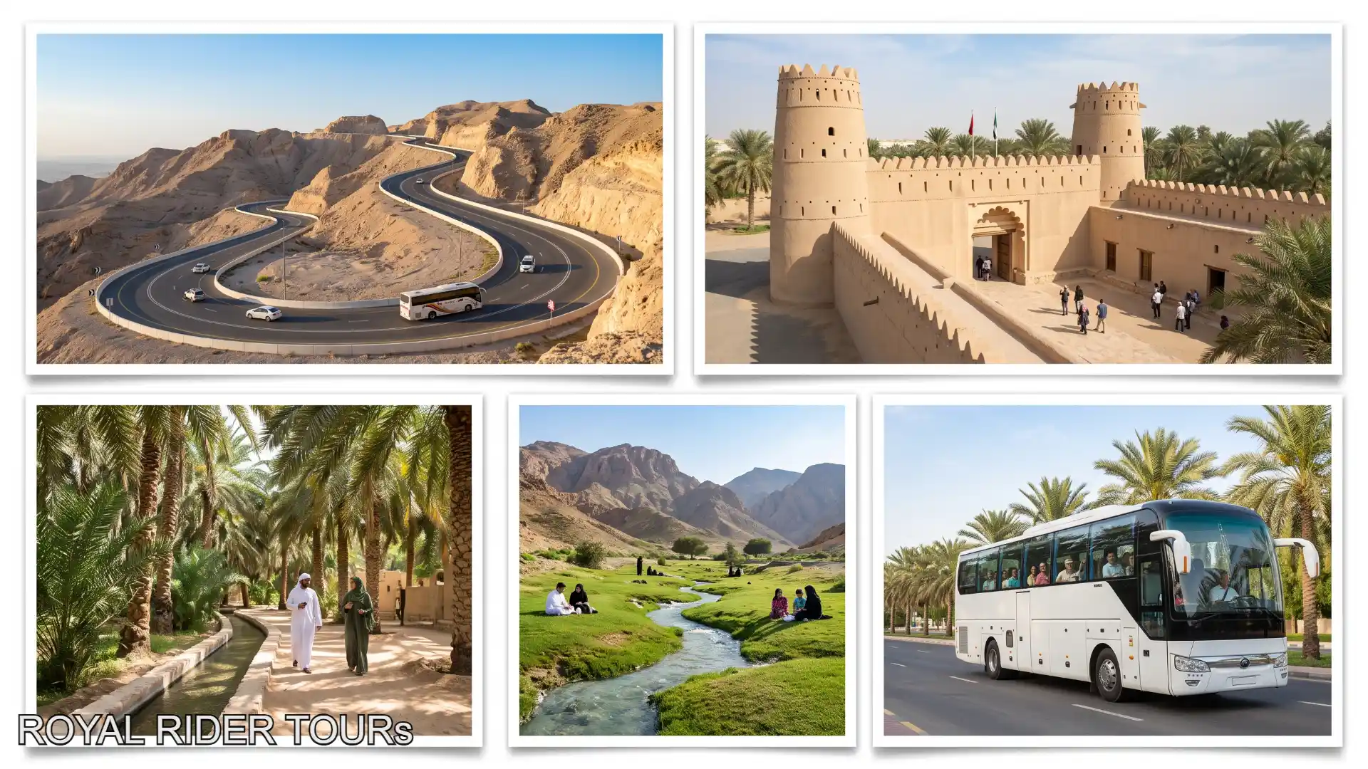 Al Ain sightseeing and private city tour